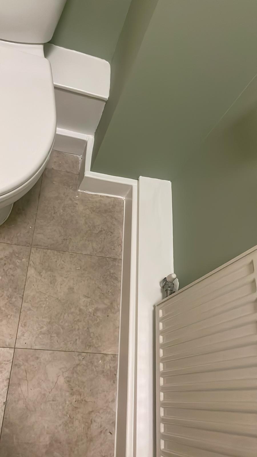 After - Bathroom, Toilet, Finished, Tiling