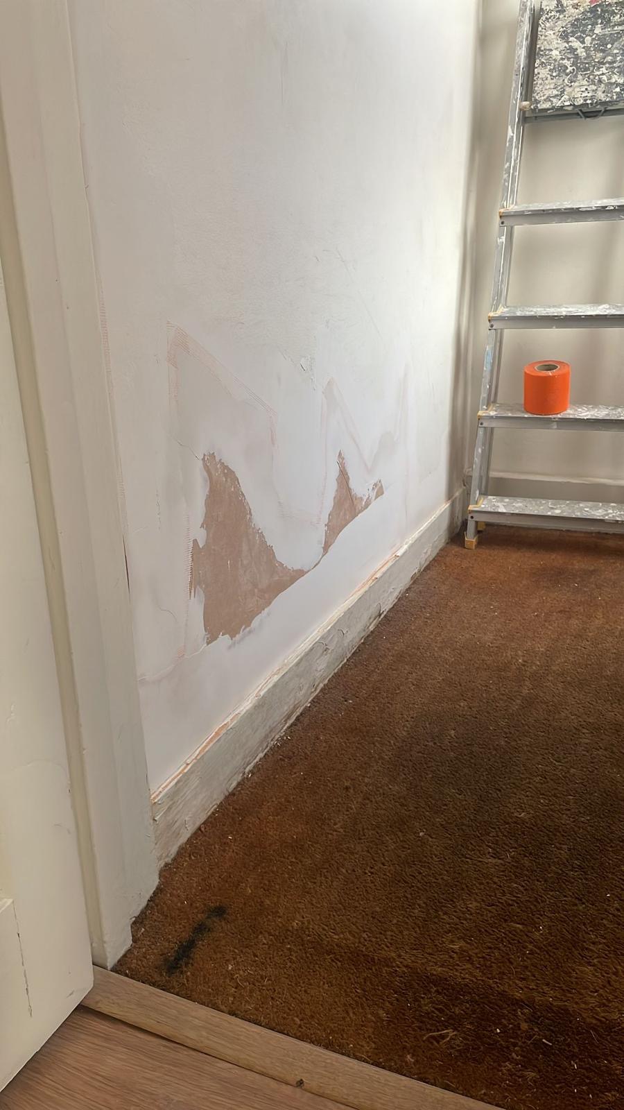 Repair - Interior, Wall Patch, Plastering, Ladder