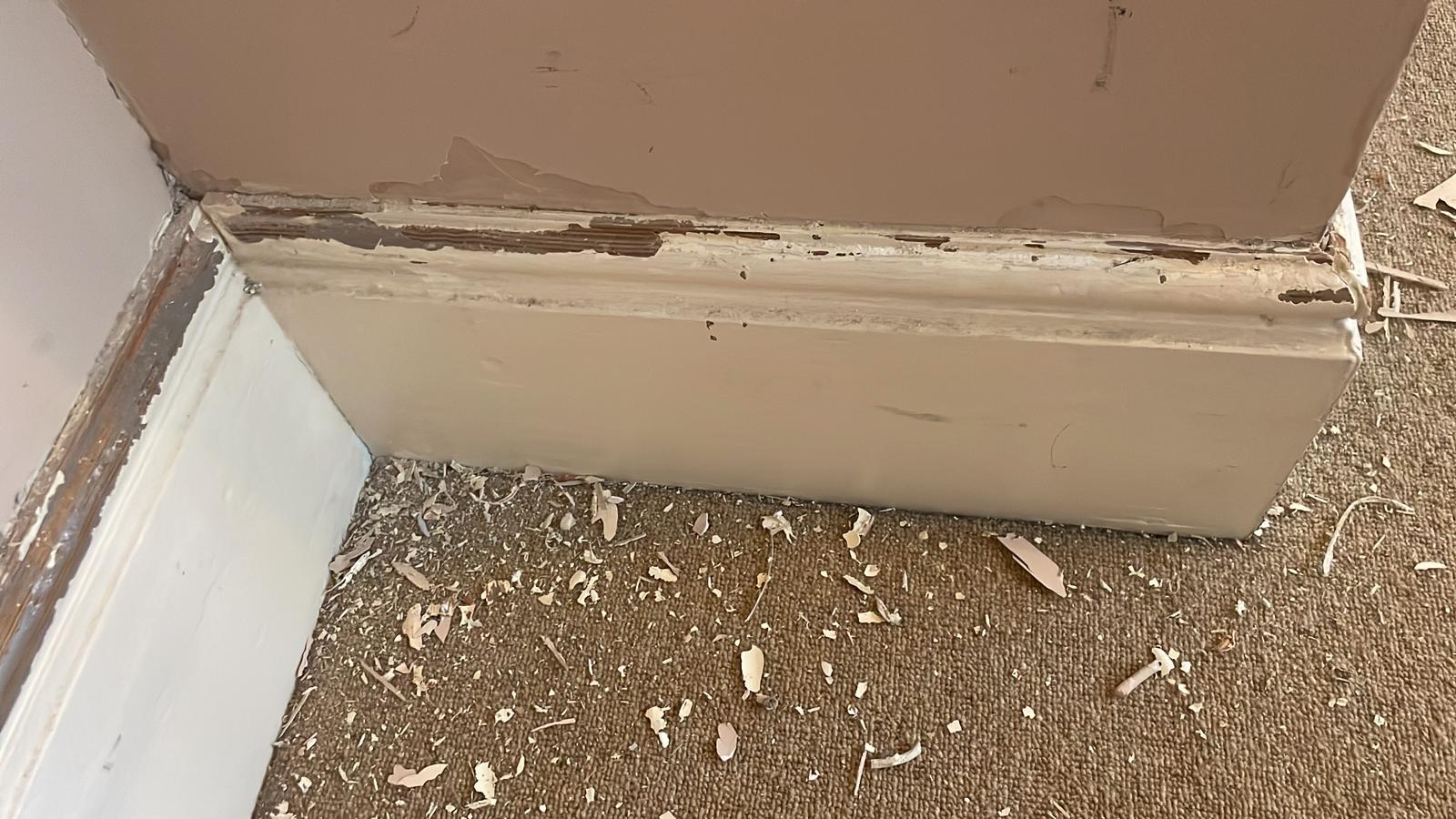 Repair - Interior, Skirting, Paint Chips, Preparation