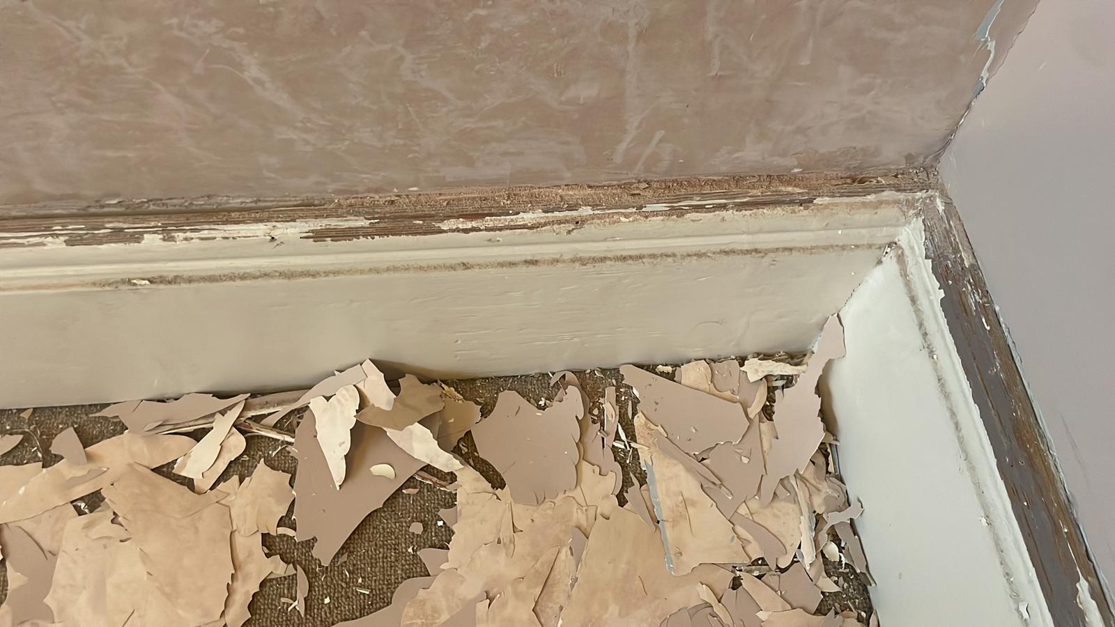Repair - Interior, Skirting, Corner, Stripping