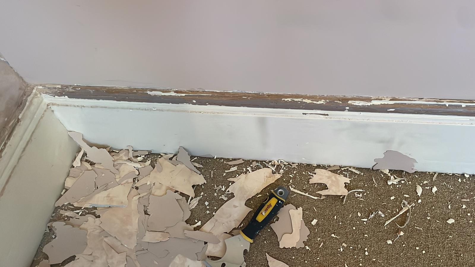 Repair - Interior, Skirting, Debris, Renovation