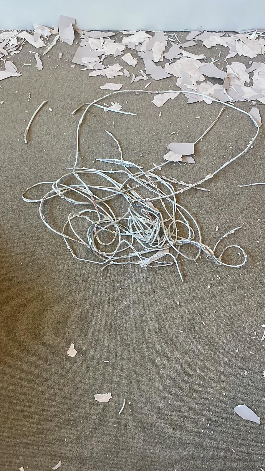 Repair - Interior, Skirting, Socket, Stripping