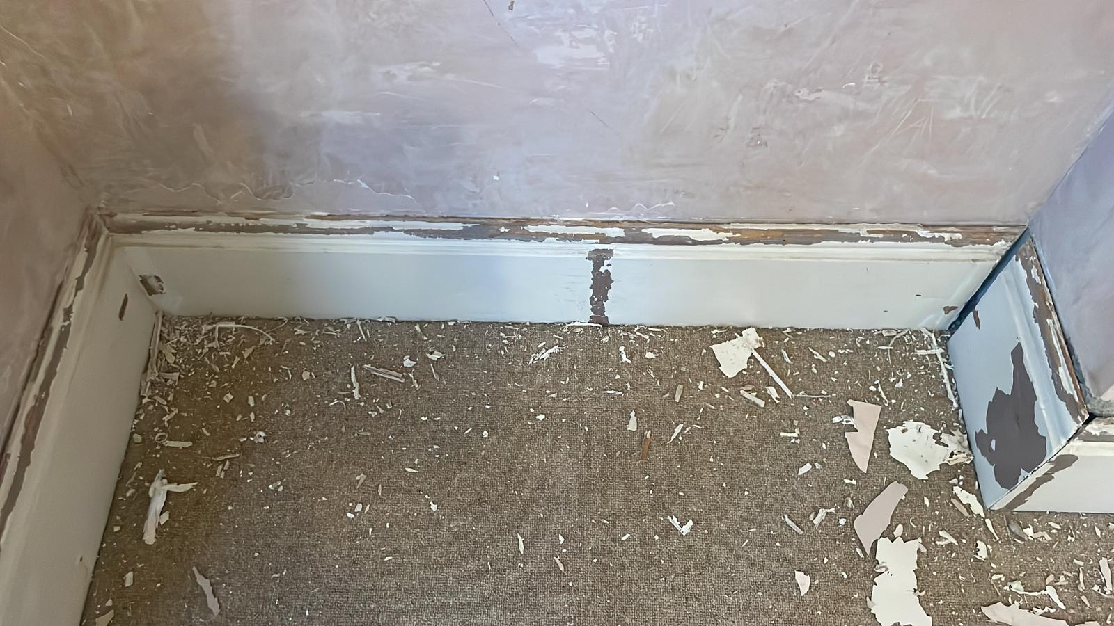 Repair - Interior, Wall, Stripping, Detail