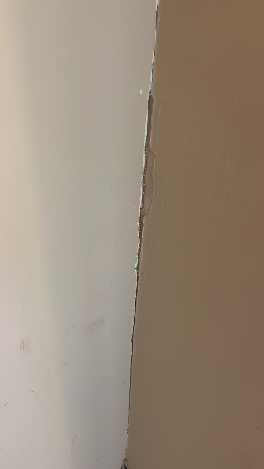 Repair - Interior, Skirting, Floor, Debris