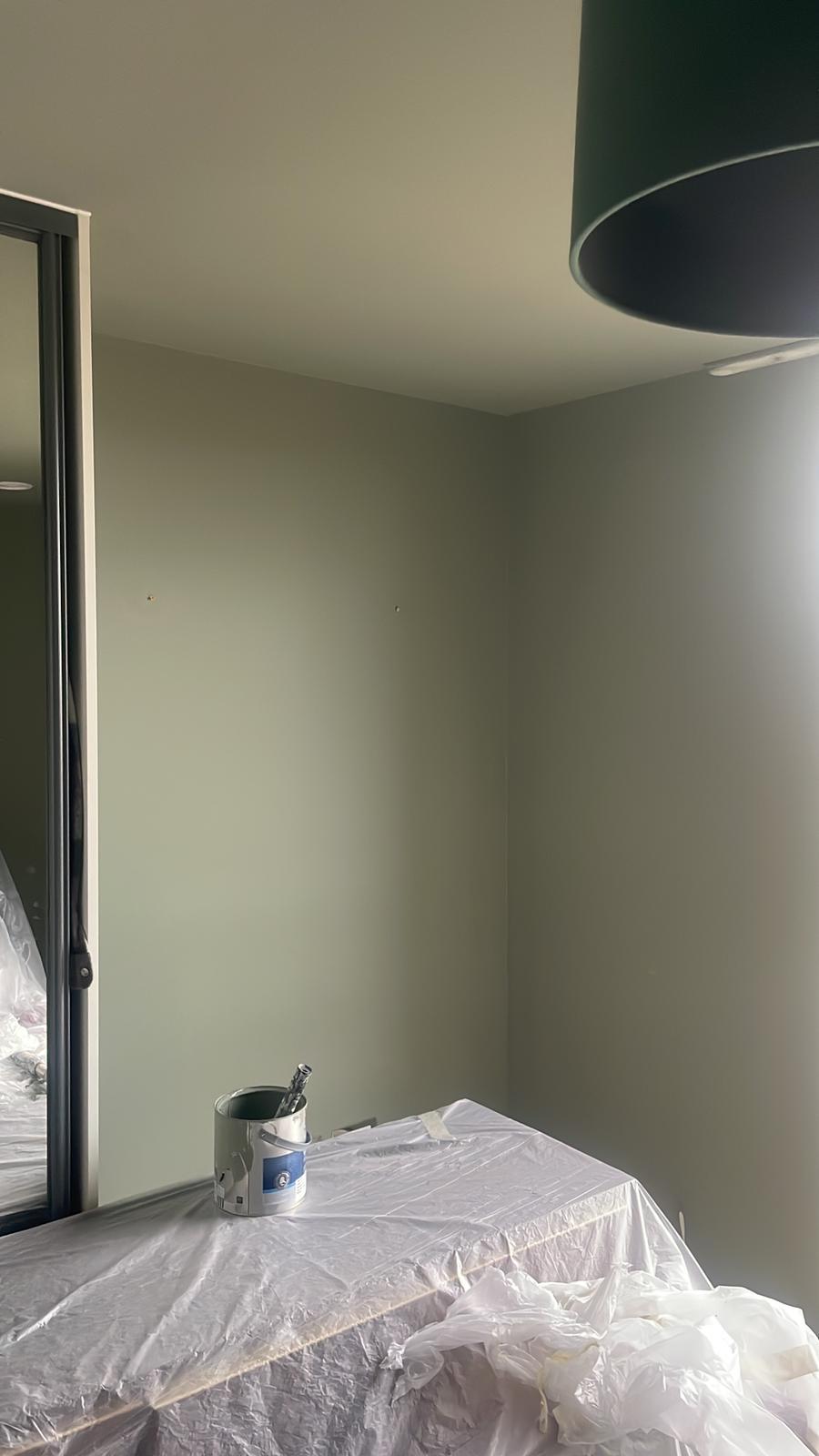 Repair - Interior, Renovation, Work in Progress