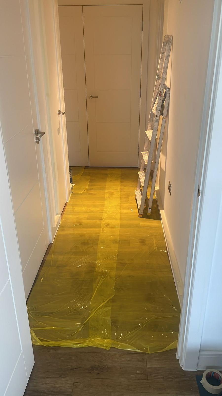 Repair - Interior, Renovation, Work in Progress