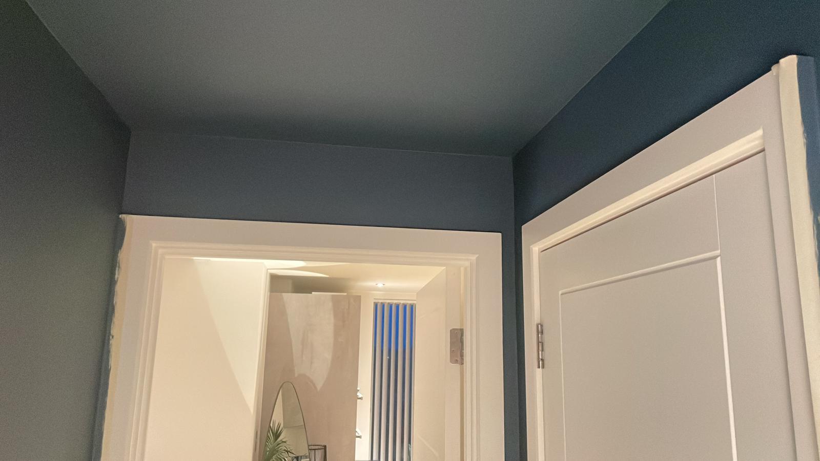 Repair - Interior, Renovation, Work in Progress