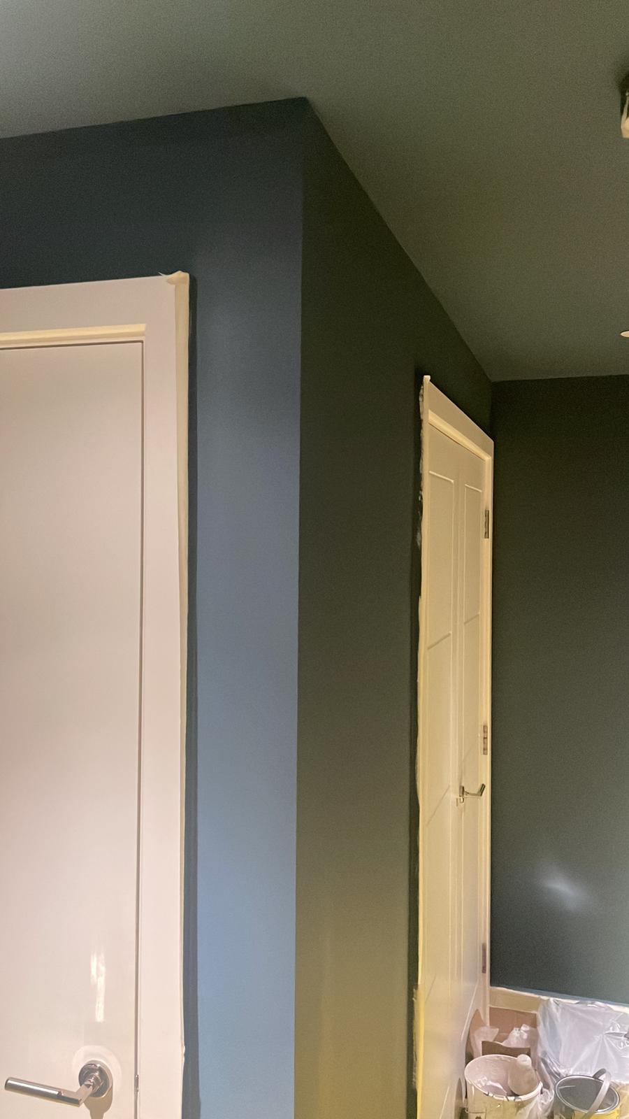 Repair - Interior, Renovation, Work in Progress