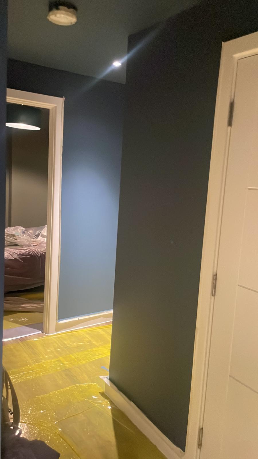 Repair - Interior, Renovation, Work in Progress