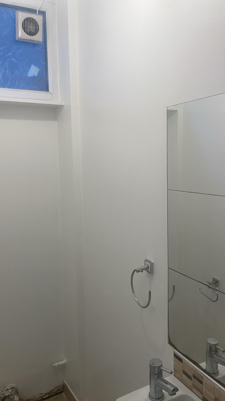 Repair - Bathroom, White Wall, Plumbing, Renovation